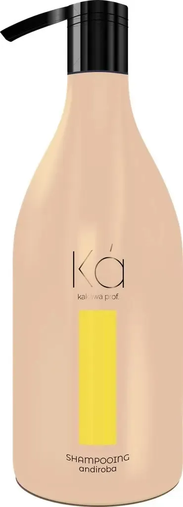 Shampoo Post Progresivo Kakawa Andiroba 1500 Ml